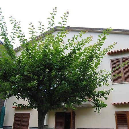 Il Susino Apartment Tirrenia Exterior photo