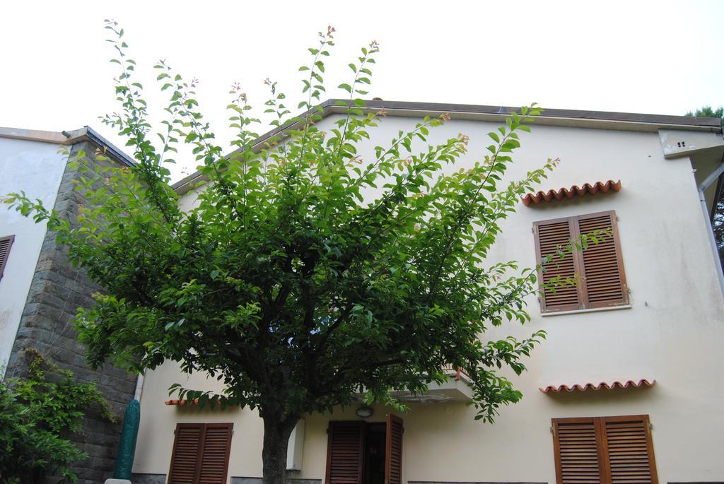 Il Susino Apartment Tirrenia Exterior photo
